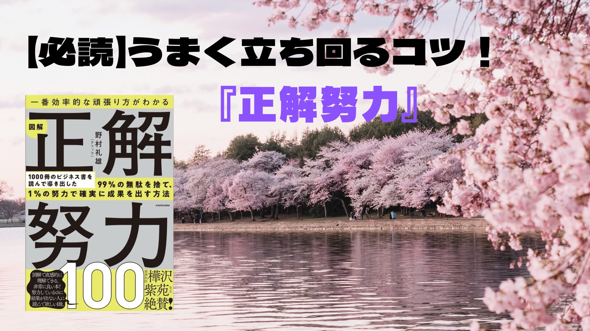 書評『正解努力』